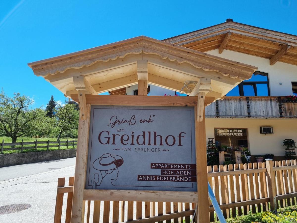 Greidlhof Alpstyle Apartments Fuegen Luaran gambar
